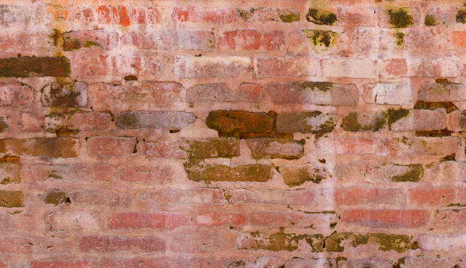 Damp brick wall with green algae