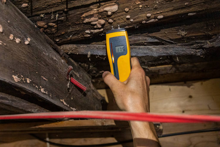 Timber Decay - Indoor damp & air quality (IAQ) testing - Depositphotos_311675824_XL